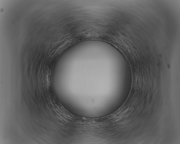 X0000086791250200704130846