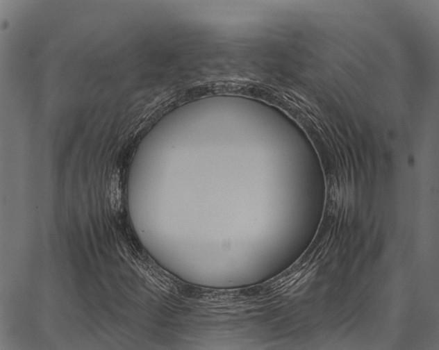 X0000086791252200704130845