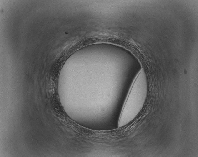 X0000086791253200704130845