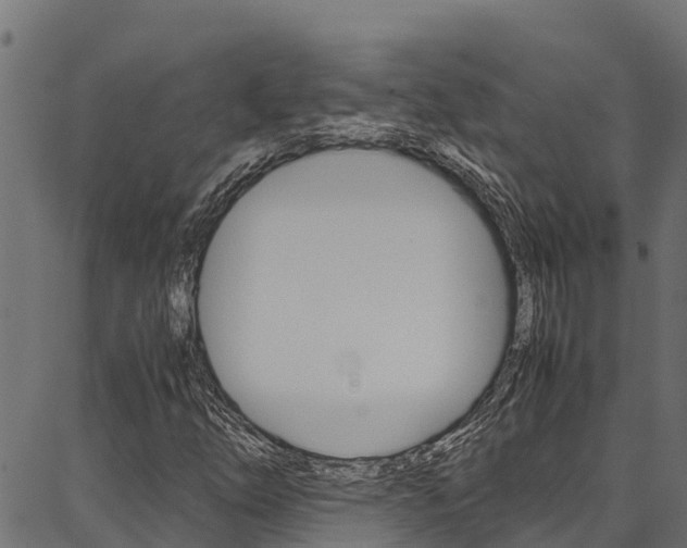 X0000086791254200704130845