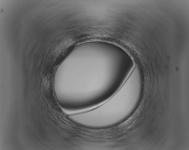 X0000086791257200704130845