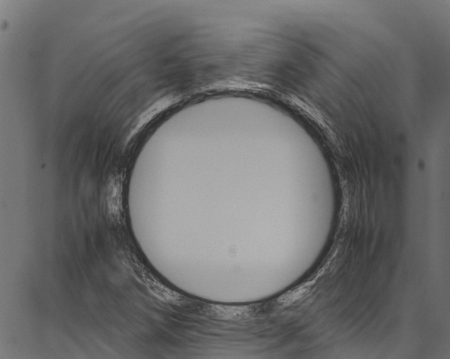 X0000086791258200704130845
