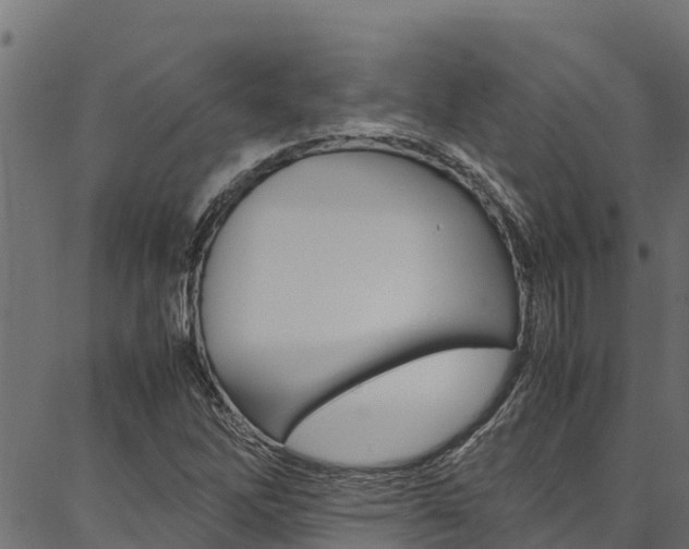 X0000086791262200704130845