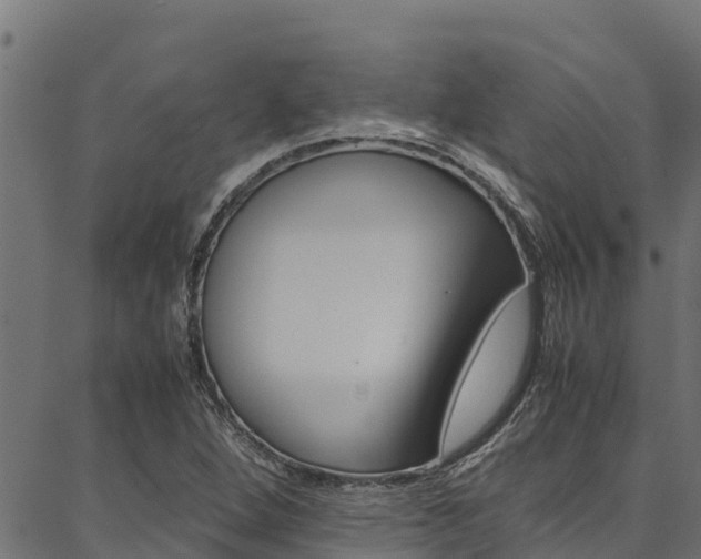 X0000086791264200704130845