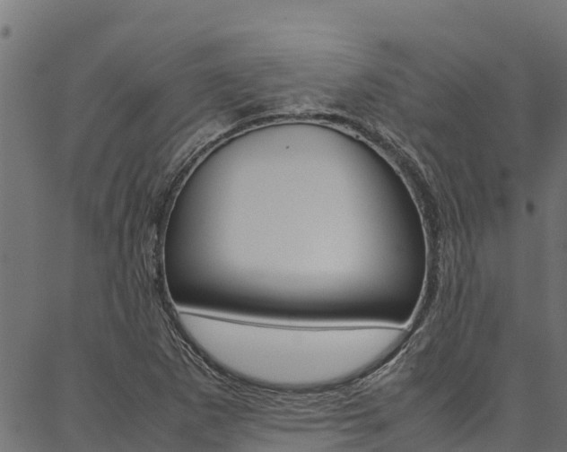 X0000086791265200704130845