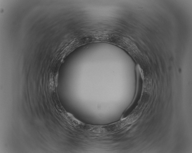 X0000086791298200704130844