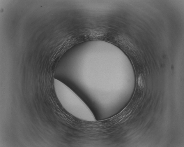 X0000086791299200704130844