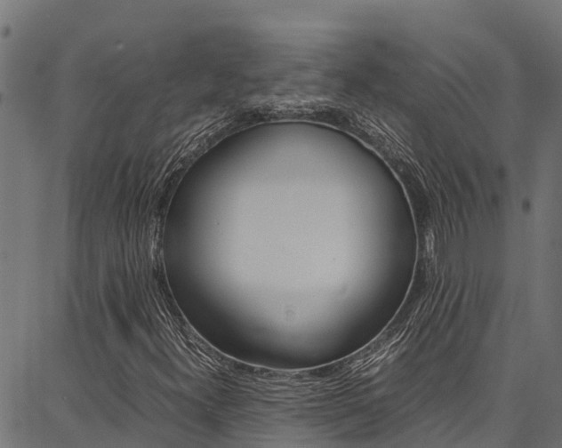 X0000086791300200704130844
