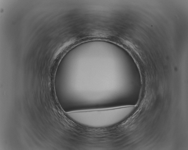 X0000086791307200704130844