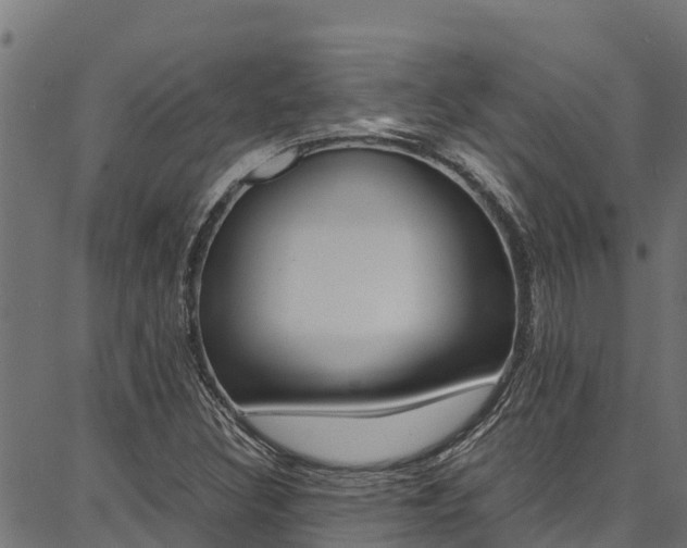 X0000086791308200704130844