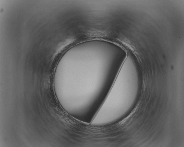 X0000086791309200704130844