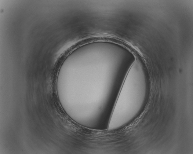 X0000086791311200704130844