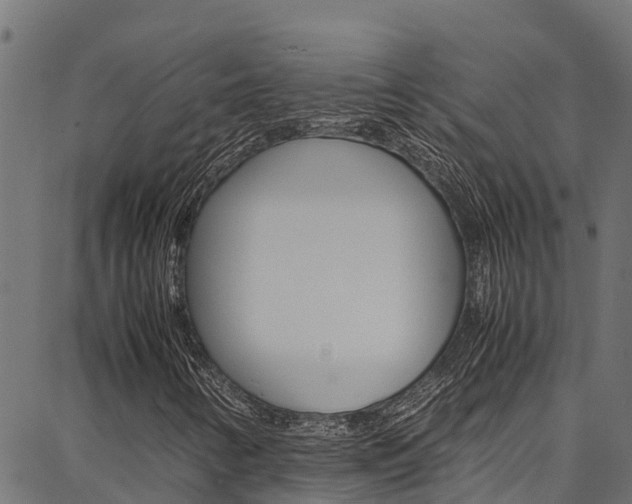 X0000086791346200704130844