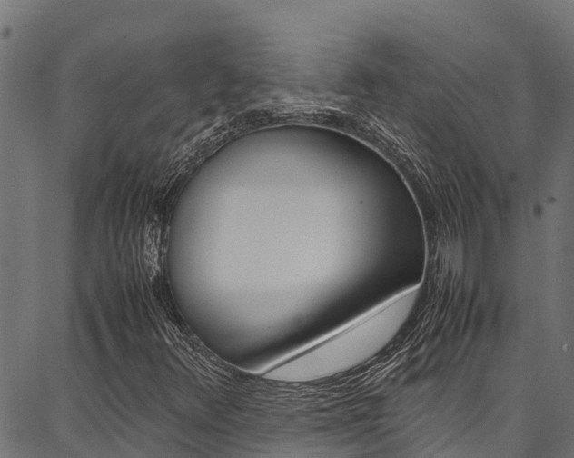 X0000086791348200704130844