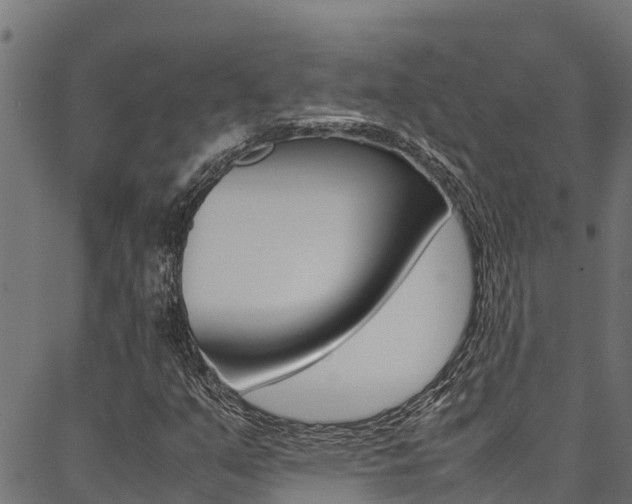 X0000086791351200704130844