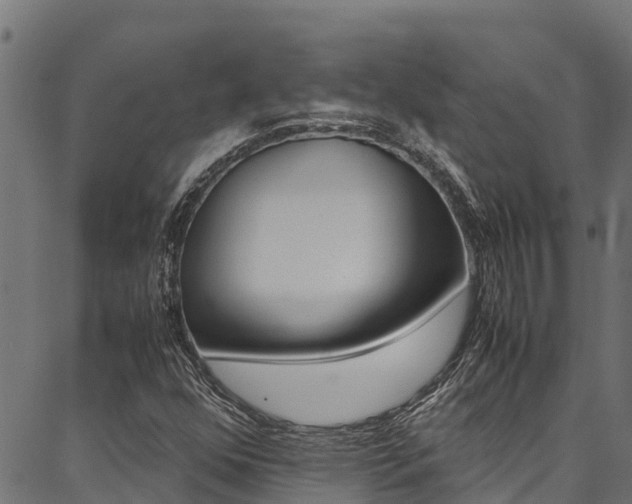 X0000086791352200704130844