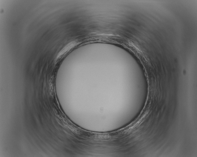 X0000086791354200704130844