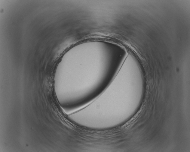 X0000086791355200704130844