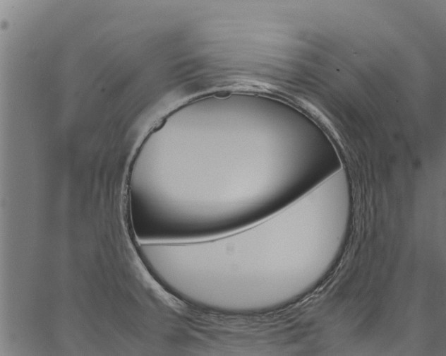 X0000086791379200704130843