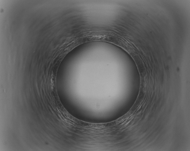 X0000086791394200704130842