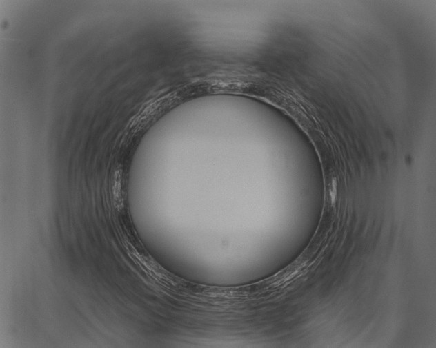 X0000086791396200704130842