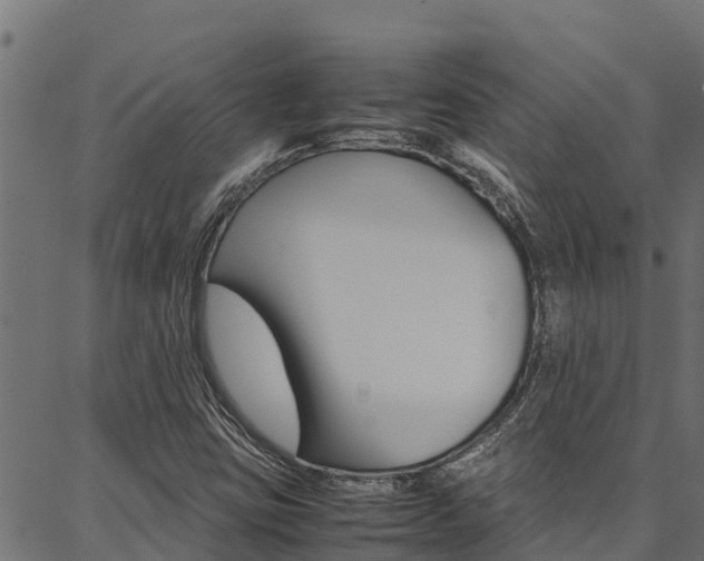 X0000086791403200704130843