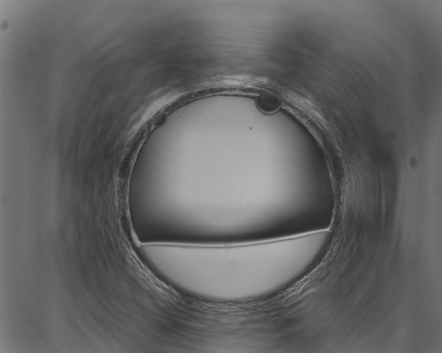 X0000086791404200704130843