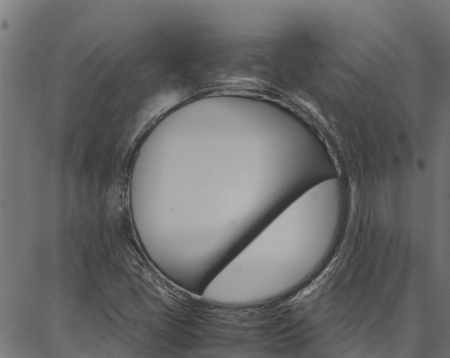 X0000086791405200704130843