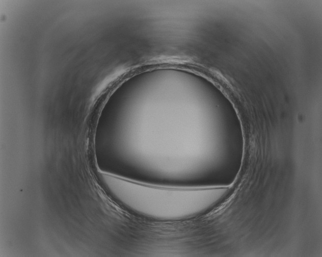 X0000086791406200704130843