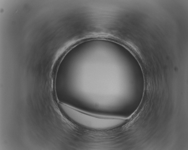 X0000086791414200704130843
