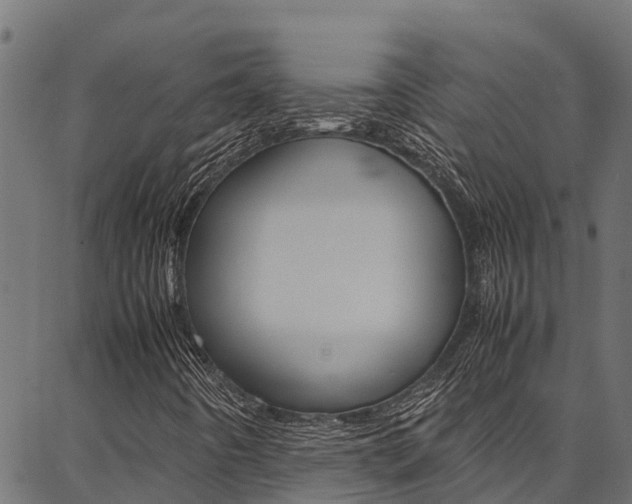 X0000086791442200704130842