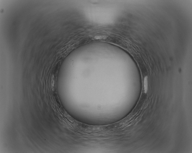 X0000086791443200704130842