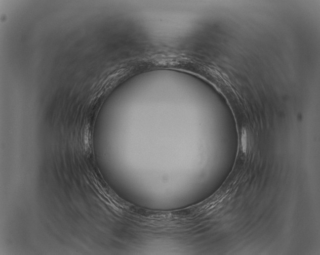 X0000086791444200704130842