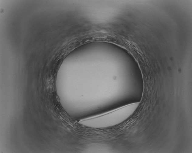 X0000086791445200704130842