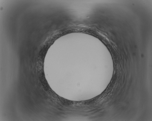 X0000086791447200704130842