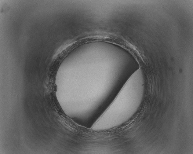 X0000086791448200704130842