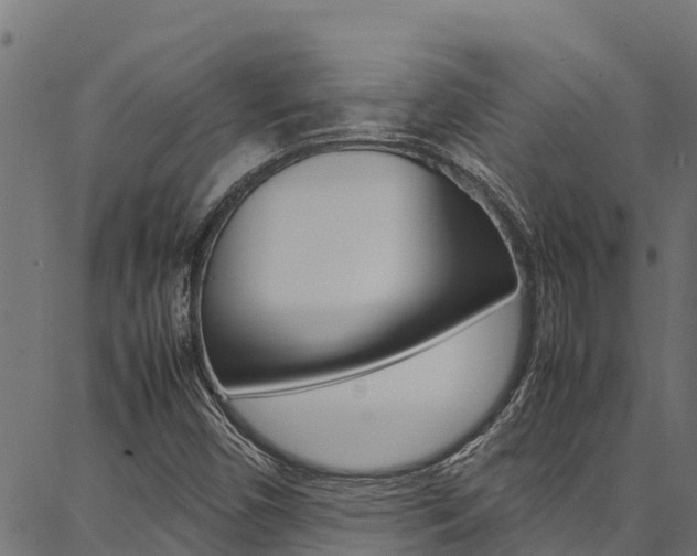 X0000086791450200704130842