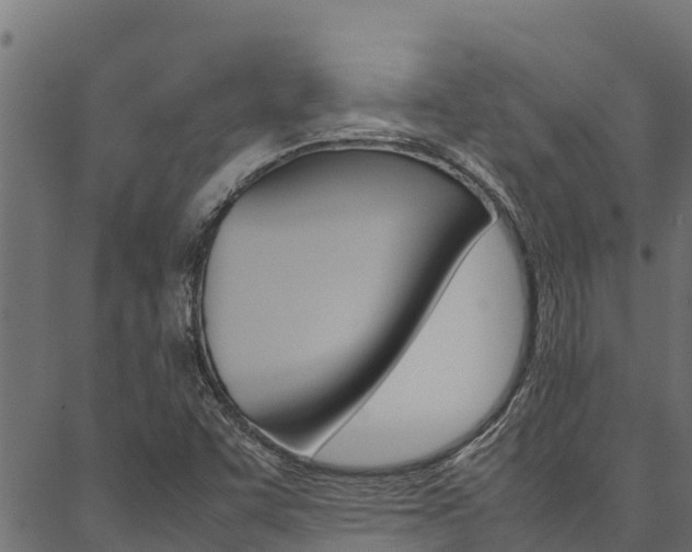 X0000086791455200704130842