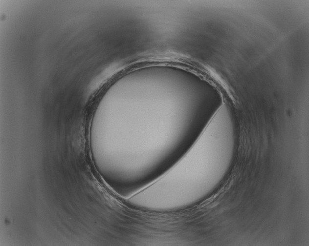 X0000086791456200704130842