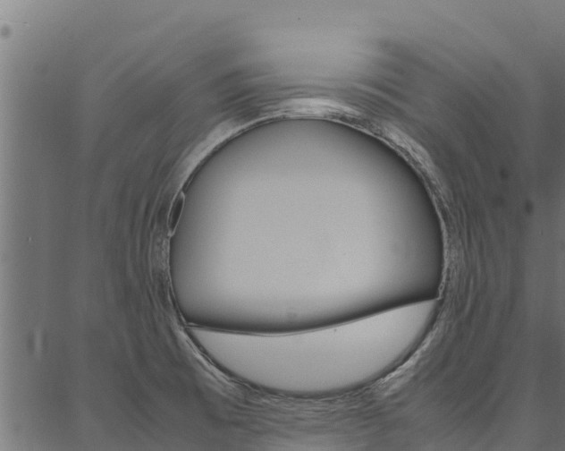 X0000086791473200704130842