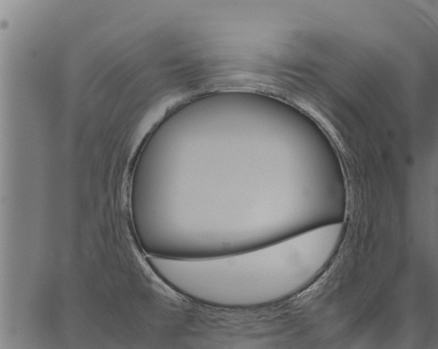 X0000086791477200704130842