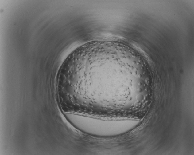 X0000086791479200704130842
