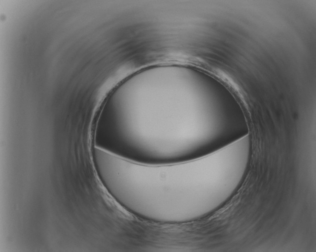 X0000086791480200704130842