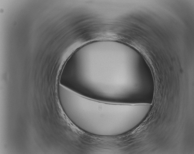 X0000086791488200704130842
