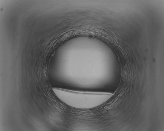 X0000086791490200704130841