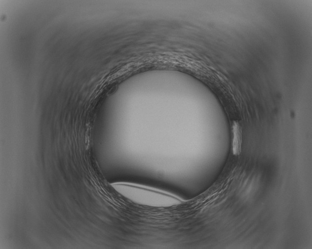 X0000086791491200704130841