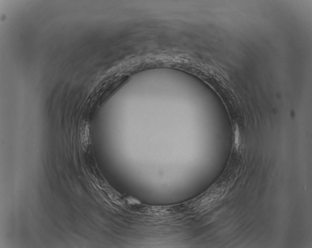 X0000086791492200704130841