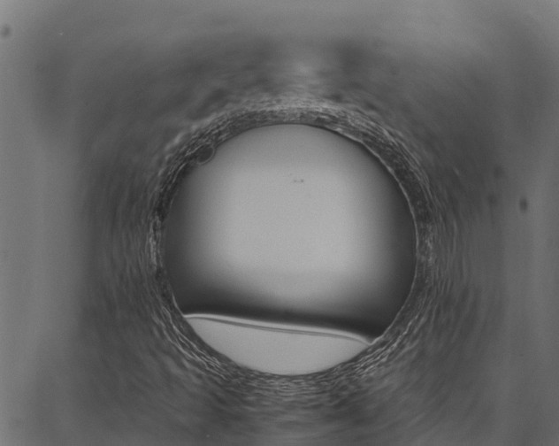 X0000086791493200704130841
