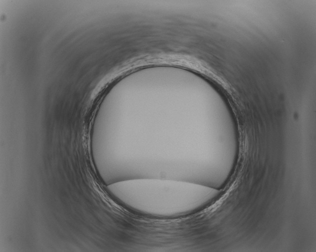 X0000086791498200704130841
