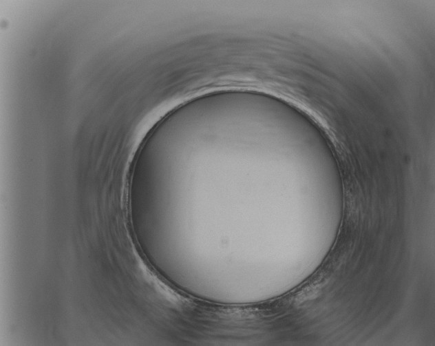 X0000086791527200704130841